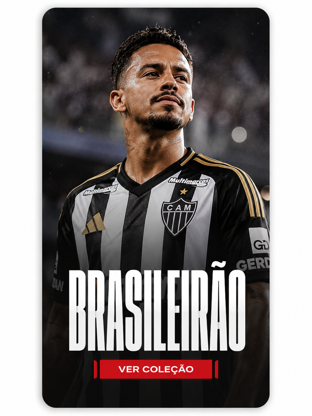 Coleção Clubes Brasileiros - LF Multimarcas